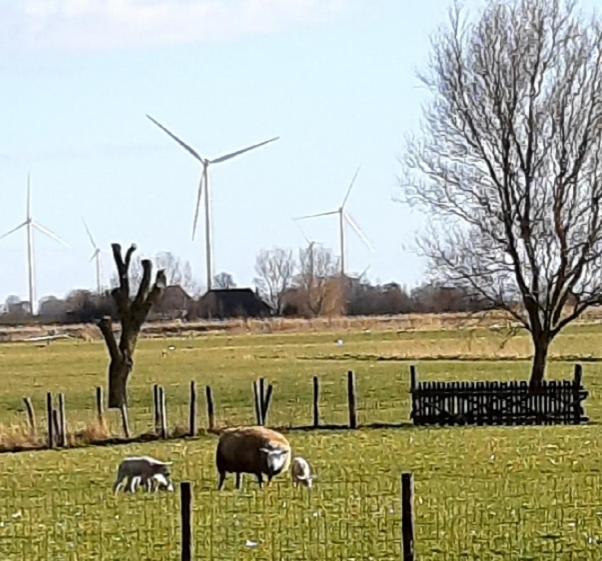 Tuinhuis Lutjewinkel Eksteriør bilde