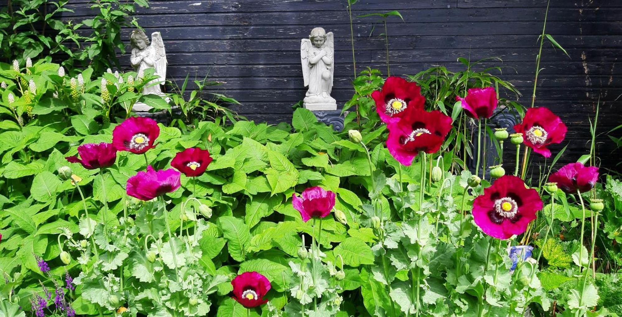 Tuinhuis Lutjewinkel Eksteriør bilde